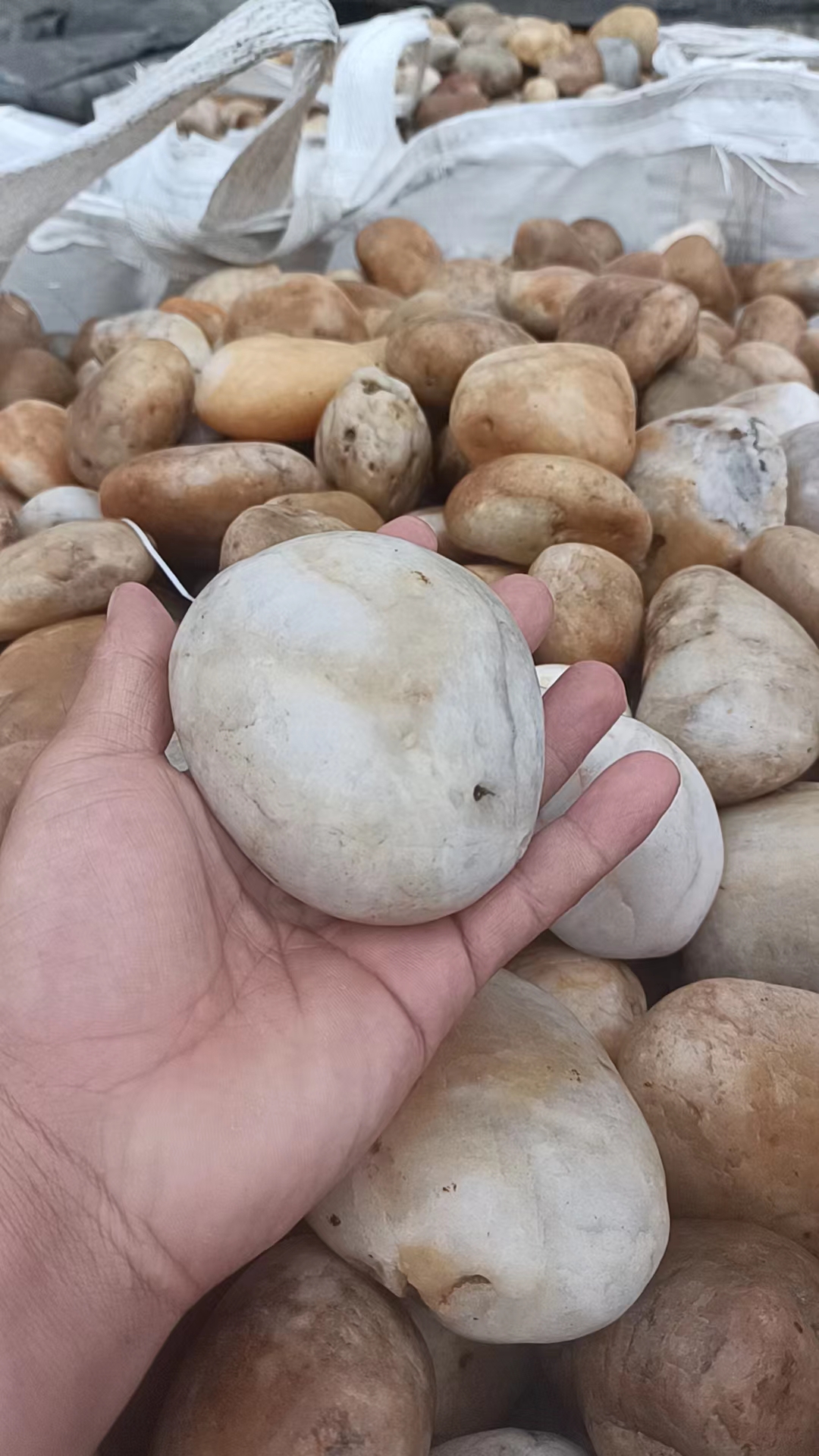 神农架林鹅卵石